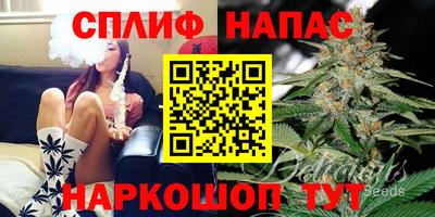 МДПВ Краснодар